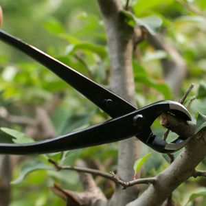 Praktische Zweigschneider mit hoher Härte weit verbreitete Gartenstyling -Werkzeuge langlebiger Schnittschere für Bonsai