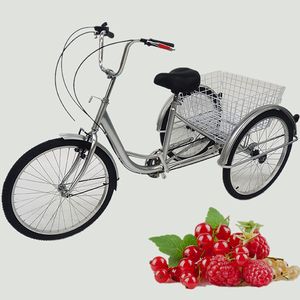 24 Zoll 3 Rad Fahrrad für Erwachsene 6 Gang Dreirad Cargo Trike Silber Cruiser Dreirad mit Korb und Lampe Erwachsenendreirad