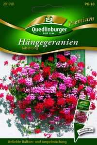 Quedlinburger Saatgut - Hänge-Geranien Mischung - Samen - 291701