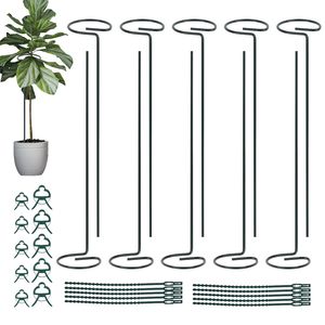 Speed 10 Stück 40 cm Pflanzenstütze, Garten-Einzelstiel-Metall-Pflanzenstützpfahl mit 10 Pflanzenbindern und 10 Pflanzenklammern für Blumen, Tomaten