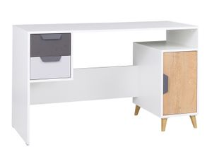 Furniture24 Schreibtisch Computertisch Joker 13 mit Tür und 2 Schubladen