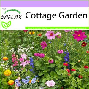 SAFLAX - Wildblumen: Cottage Garden - 1000 Samen - 21 Wildflower Mix