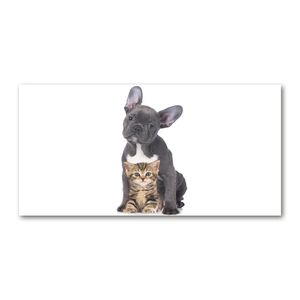 Tulup® Leinwandbild - 140x70 cm - Wandkunst - Drucke auf Leinwand - Leinwanddruck  - Tiere - Schwarz - Hund und Katze
