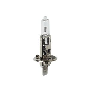 Żarówki halogenowe Lampa 24V - H1 - 70W - P14,5s - 1 sztuka - D/Blister