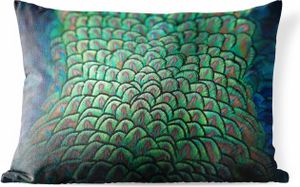 MuchoWow® Outdoor Kissen - Pfau - Federn - Muster - 50x30 cm - Wetterfest - Lounge Kissen - Sofa kissen - Wohnzimmer Dekoration