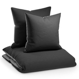 Sleepwise Bettwäsche 200x200 cm, Microfaser Bettwäsche  Getestet, Weicher Winter- und Sommer Bettbezug, Antistatisch & Atmungsaktiv, Allergiker Duvet Cover Bügelfrei, 1 Bett- & 1 Kissenbezug