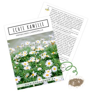 Echte Kamille Samen (Matricaria chamomilla) - Krautige, vielseitige Heilpflanze oder als Beimischung für eine bunte Blumenwiese