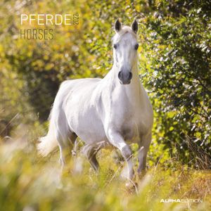 Pferde 2022 30x30