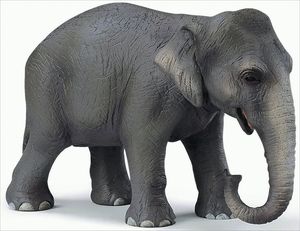 Schleich 14344 Asiatische Elefantenkuh