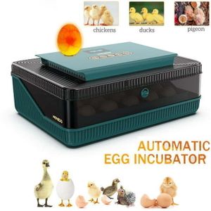 25 Eier-Inkubator mit automatischem Wenden der Eier und Feuchtigkeitskontrolle, mit Eierkerze, Inkubator für Hühnereier, Wachteln, Ente, Gans