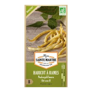 Bio-Mangetout-Bohnensamen - Neckargold-Sorte