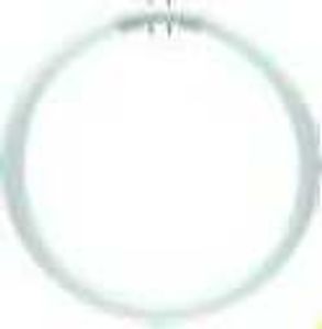 Philips 64223325 Leuchtstofflampe Master TL5 CIRCULAR 40W 840 1CT/10