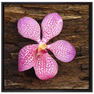 Orchidee Blüte auf Rinde Leinwandbild 70x70 cm im Bilderahmen Quadratisch / Wandbild  / Schattenfugenrahmen / Kein Poster