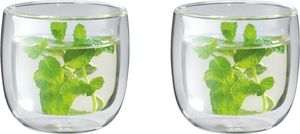 Sada termo sklenic na čaj z borosilikátového skla s dvojitou stěnou Sorrento 240 ml 2 ks