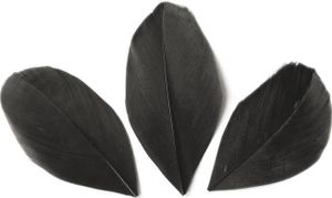 50 geschnittene Federn - Schwarz 60 mm