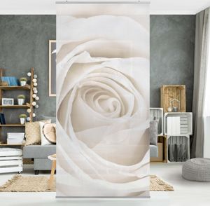 Rosenbild Raumteiler - Pretty White Rose - Blumen Raumtrenner - 250x120cm, Aufhängung:inkl. transparenter Halterung
