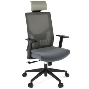 Flexispot BS12 Verstellbare Höhe Verstellbare Rückenlehne Ergonomisches Design Stuhl BackSupport Bürostuhl