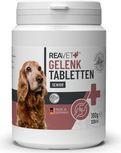 REAVET Gelenktabletten Hund Senior - 120 Stück für 8 Monate - Gelenk-Tabletten für ältere Hunde mit Grünlippmuschel, MSM & Teufelskralle I nach behandelter Arthrose, Arthritis