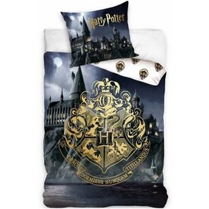 Pościel dla dzieci Harry Potter Podróż do Hogwartu