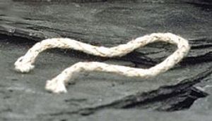 Hauser Rauchwaren Zippo knot, 1 kus Divers