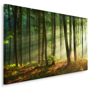 Fabelhafte Canvas LEINWAND BILDER 120x80 cm XXL Kunstdruck Natur Wald Bäume Sonne