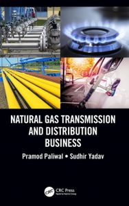 Natural Gas Transmission and Distribution Business