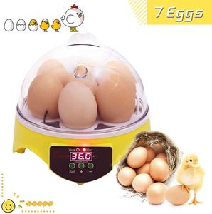 Inkubátor automatický, 7 vajec inkubátor teplota digitální líheň pro drůbež kuřecí kachny křepelky inkubace vejce chov
