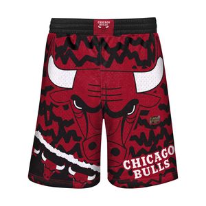 Mitchell & Ness Kinder Shorts JUMBOTRON Chicago Bulls US18