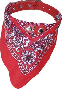 Nobby Halsband mit Tuch : Rot L: 45cm Farbe: Rot Größe: L: 45cm