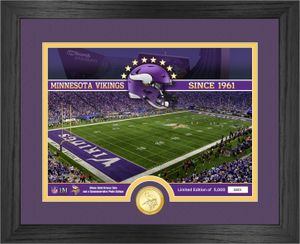 Obraz ze złotą monetą Minnesota Vikings NFL Stadium 40x33cm