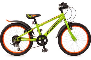 20 Zoll Fahrrad für Kinder ab 5 J Shimano 6-Gang Schaltung Kinderfahrrad grün