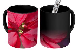 MuchoWow® Kouzelný pohár Poinsettia - Vánoční květina - Vánoce 350 ml Barva měnící se pohár Dárkový nápad - foto hrnek