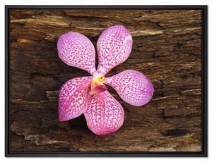 Orchidee Blüte auf Rinde Leinwandbild 80x60 cm im Bilderahmen / Wandbild  / Schattenfugenrahmen / Kein Poster