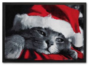 Fußmatte Katze Weihnachten Weihnachtskatze Chrismas Fußabtreter