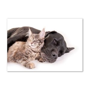 Tulup® Leinwandbild - 100x70 cm - Wandkunst - Drucke auf Leinwand - Leinwanddruck  - Tiere - Braun - Hund Katze