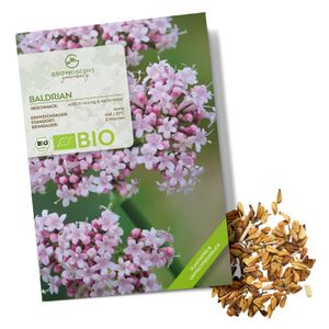 Baldrian Samen - Heilkräuter Saatgut aus biologischem Anbau ideal für den heimischen Kräutergarten, Balkon & Garten (200 Korn)