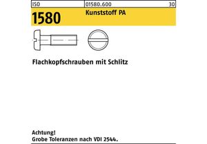 Flachkopfschraube ISO 1580 m.Schlitz M 5 x 16 Polyamid