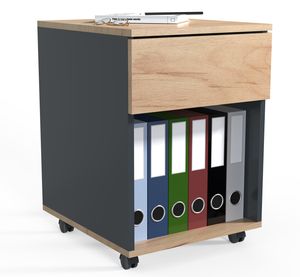 Rollcontainer Dalosa 1 Schublade