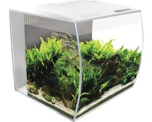 FLUVAL Flex Led Aquarium (Weiß - Menge: 34 L)