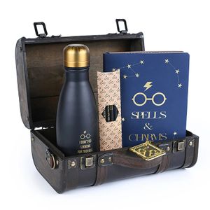 Pyramid International Harry Potter Trouble Finds Me Geschenkbox GP85536