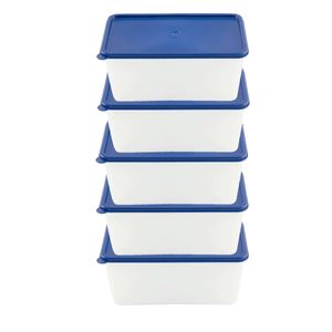 5er Gefrierdosen Set 0,75 l EUROHOME Frischhaltedosen verwendbar als Vorratsdosen & Aufbewahrungsdosen - Behälter gefriergeeignet & hitzebeständig