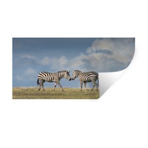 Wandaufkleber - Verliebte Zebras - 80x40 cm - Repositionierbar