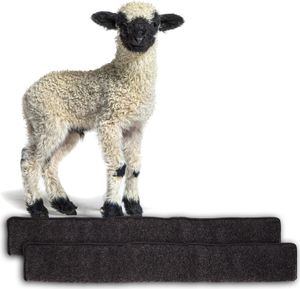2x Zugluftstopper für Türen 80cm - 100% Schurwolle - Anthrazit - Türluftstopper Luftzugstopper : 80 cm : Anthrazit 2x Zugluftstopper für Türen 80cm - 100% Schurwolle - Anthrazit - Türluftstopper Luftzugstopper : 80 cm : Anthrazit