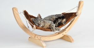 Silvio Design - Cat Relax braun - Maße (LxBxH) in cm: 70 x 35 x 30 - 21741101