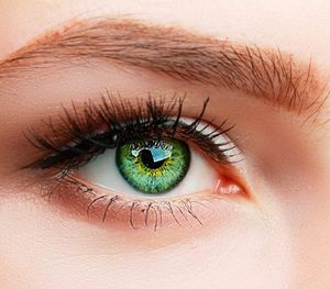 ELFENWALD farbige Kontaktlinsen, Produktreihe "SUPREME" (grün) - Neu
