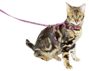 Kerbl Harness Cat Leine [82668]