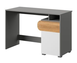 Furniture24 Schreibtisch Carini CA8 mit Tür