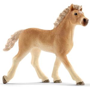 Haflinger Fohlen