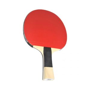 Butterfly SG33 Timo Boll Profi Tischtennisschläger Tischtennis ITTF Ergo Grip