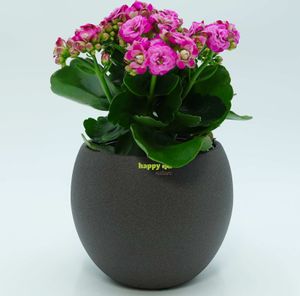 Keramik Blumentopf Madeira dunkel grau struktur Kugel 11/09 Ø 14,0 cm H 11,5 cm